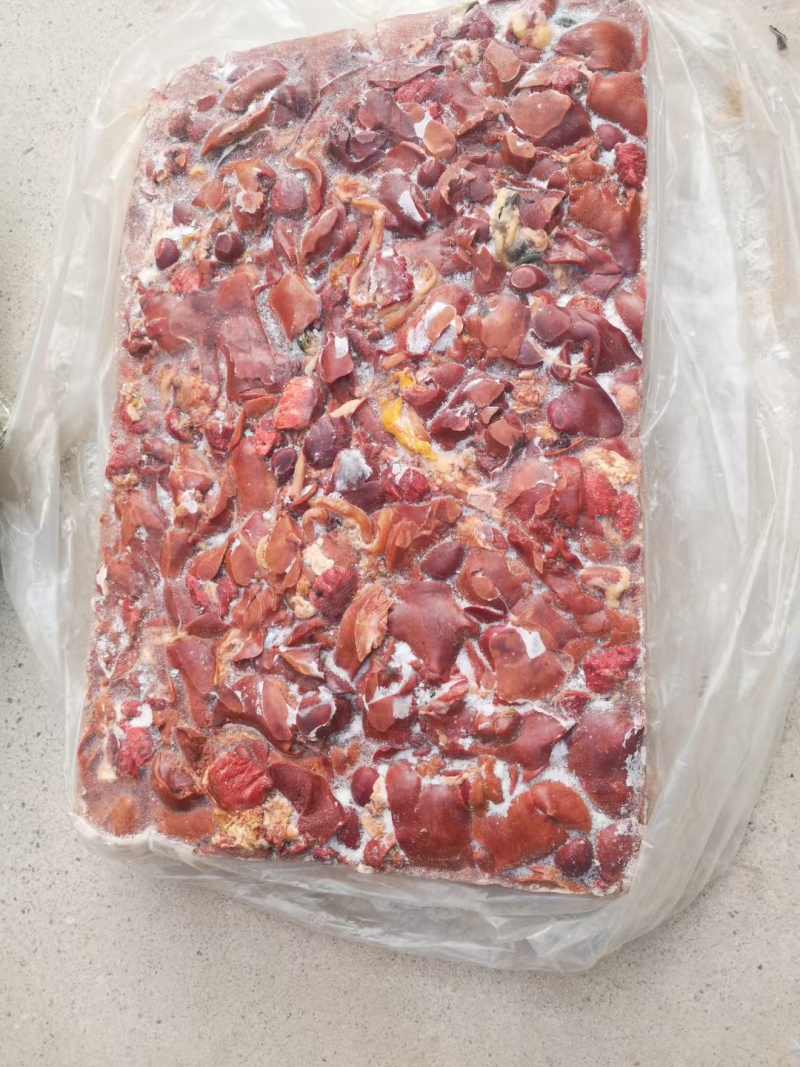纯干无水鸡肝喂鱼饲料