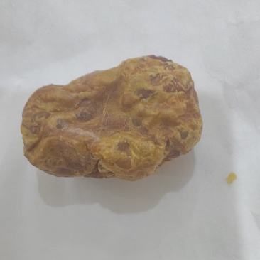 公鸡鸡宝