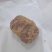 公鸡鸡宝