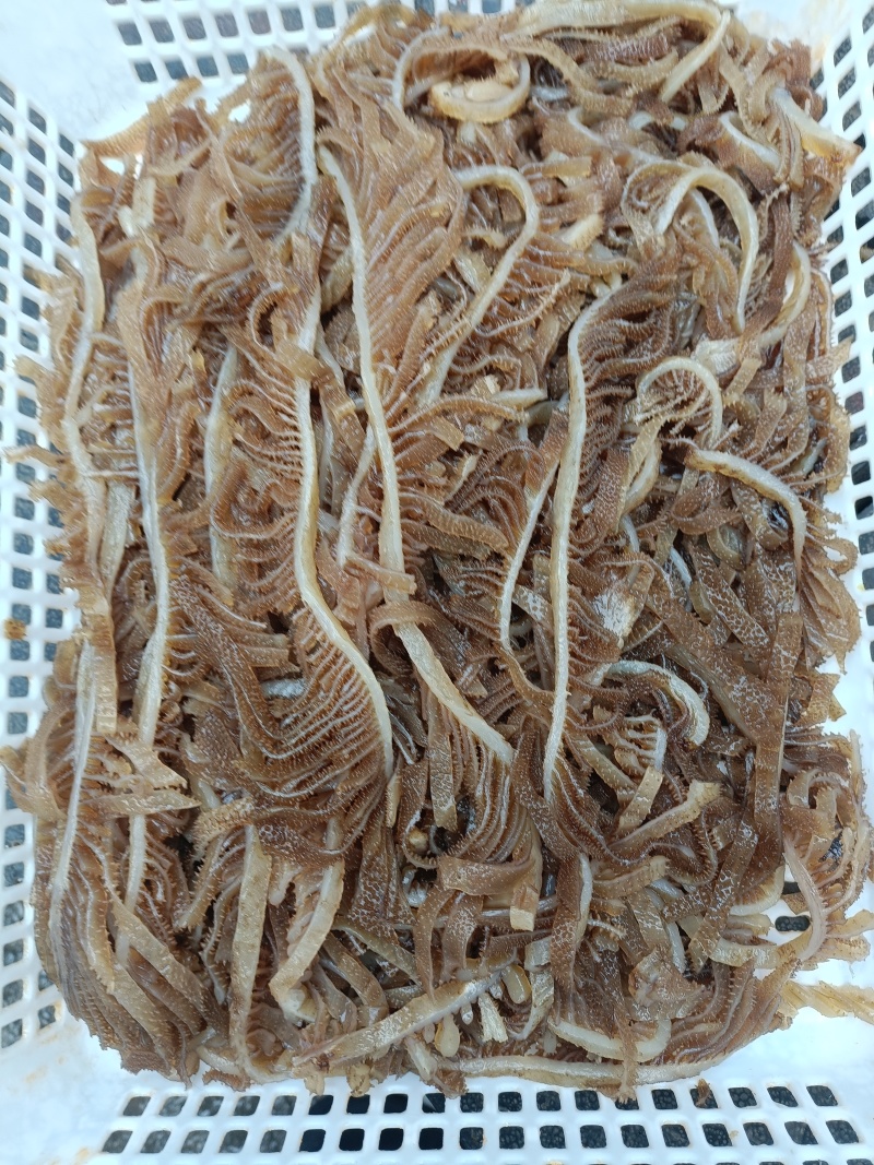 新鲜黑千层肚毛肚5斤一袋爽脆冷冻牛百叶重庆涮火锅串串食材