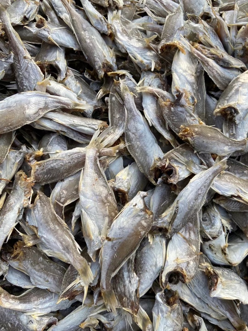 无头咸鱼黄花鱼干白姑鱼渔民自制风干质量好价格优