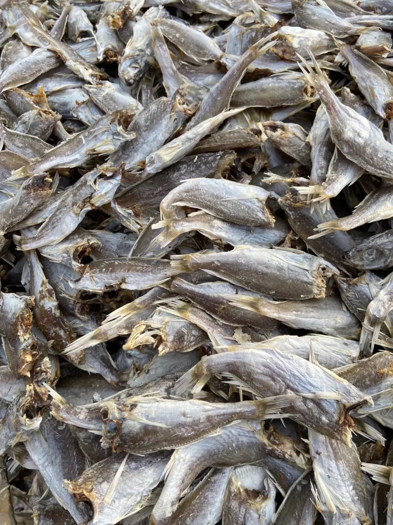 无头咸鱼黄花鱼干白姑鱼渔民自制风干质量好价格优