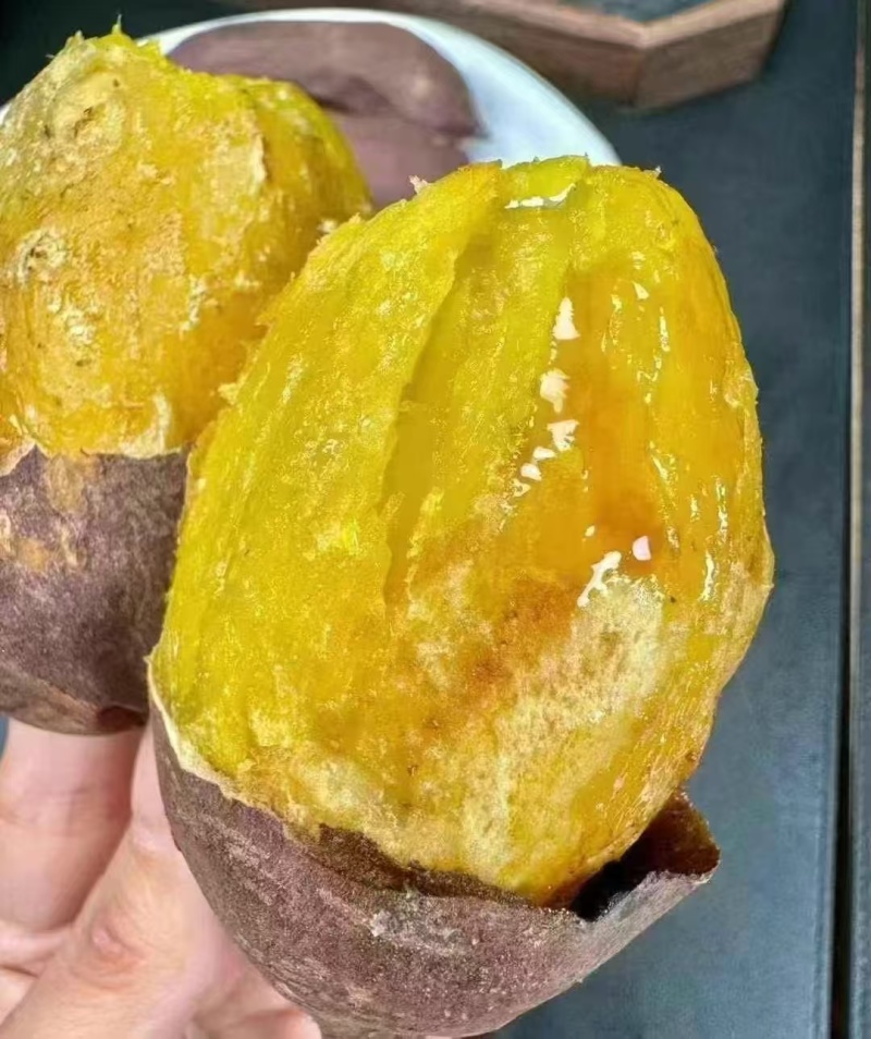 烤薯红薯苗保证纯度全国各地发货欢迎老板来实地考察！