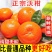 纯甜沃柑