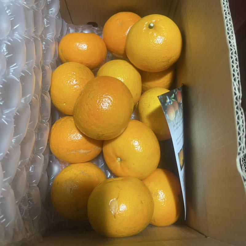 精品沃柑3~9斤一件代发对接各大电商平台抖音快手拼多多