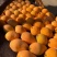 米易枇杷