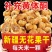 新货新疆无花果干电商专用新疆特产原色批发