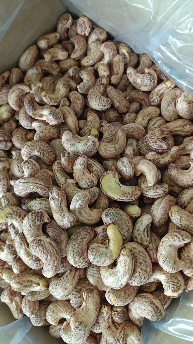 新货紫皮腰果A170特大颗粒盐焗味批发零售