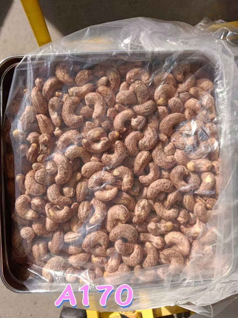 新货紫皮腰果A170特大颗粒盐焗味批发零售