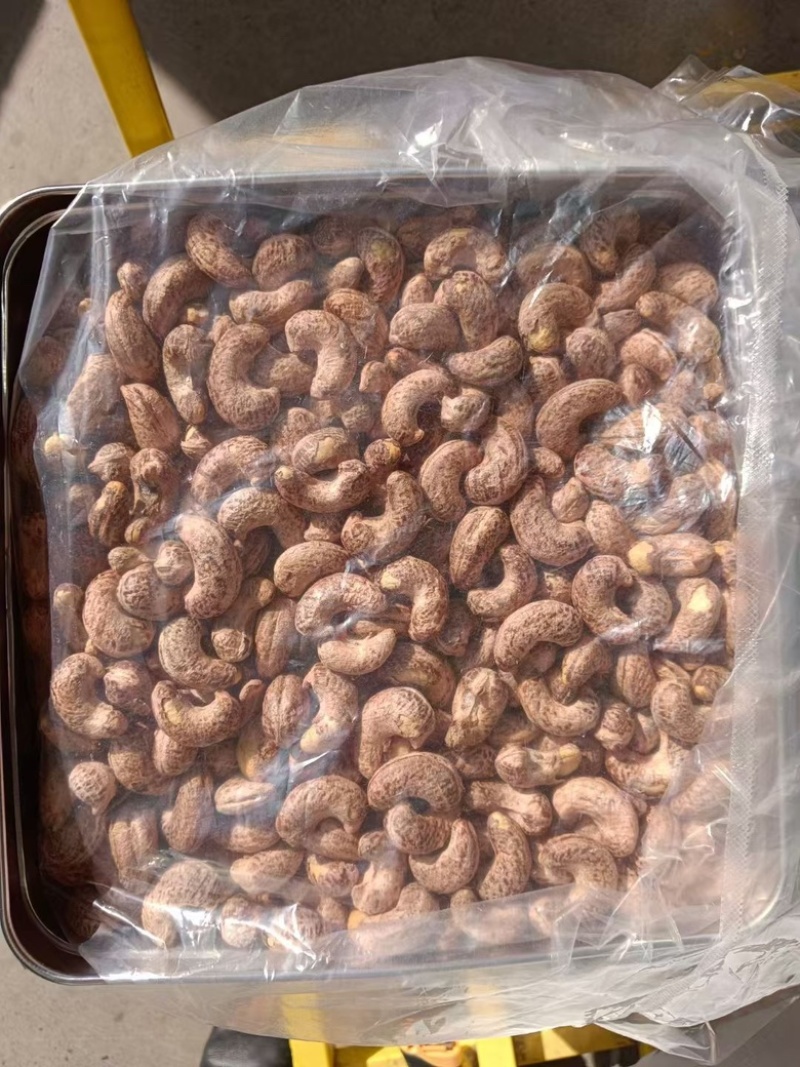 新货紫皮腰果A170特大颗粒盐焗味批发零售
