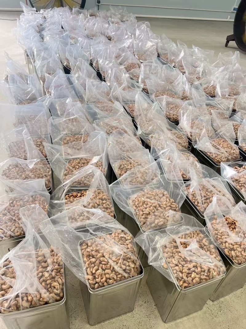 新货紫皮腰果A170特大颗粒盐焗味批发零售
