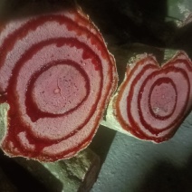 鸡血藤，鲜货出售1111111222222