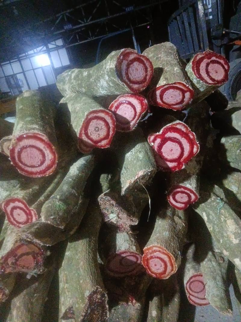 鸡血藤，鲜货出售1111111222222