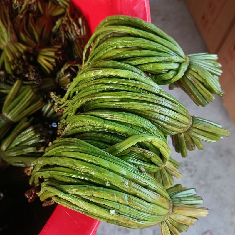 盐腌制青蕨菜，需要的老板联系！