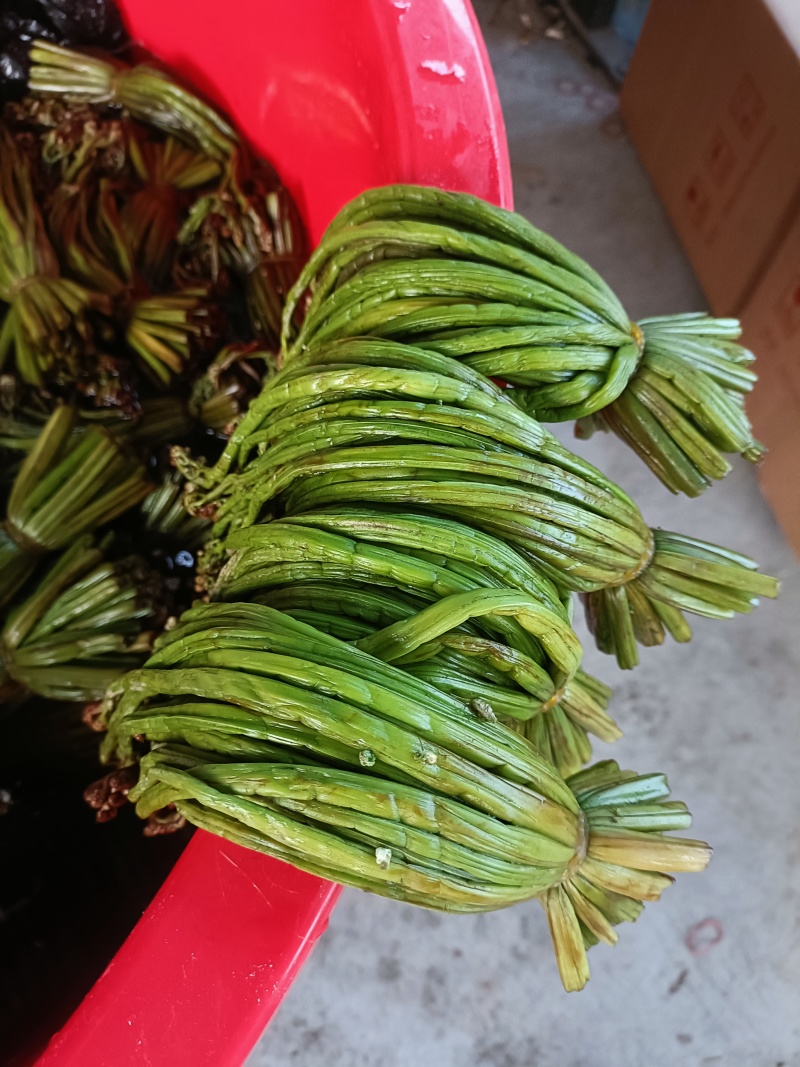 盐腌制青蕨菜，需要的老板联系！