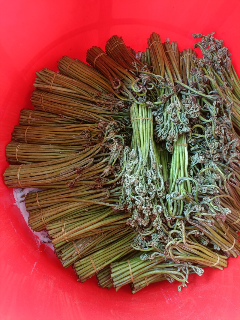 盐腌制青蕨菜，需要的老板联系！