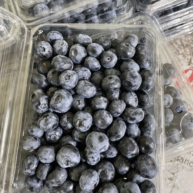 精品蓝莓，价格合理，支持各种包装，对接各个市场团购