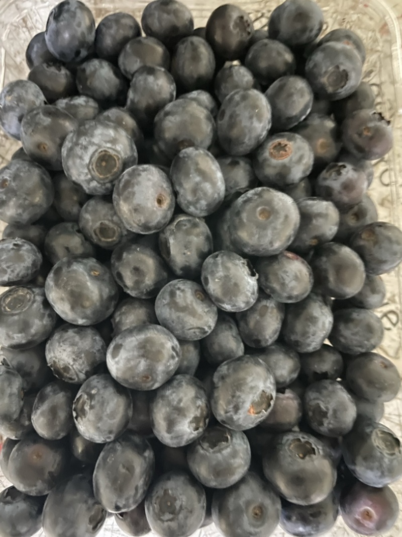 精品蓝莓，价格合理，支持各种包装，对接各个市场团购