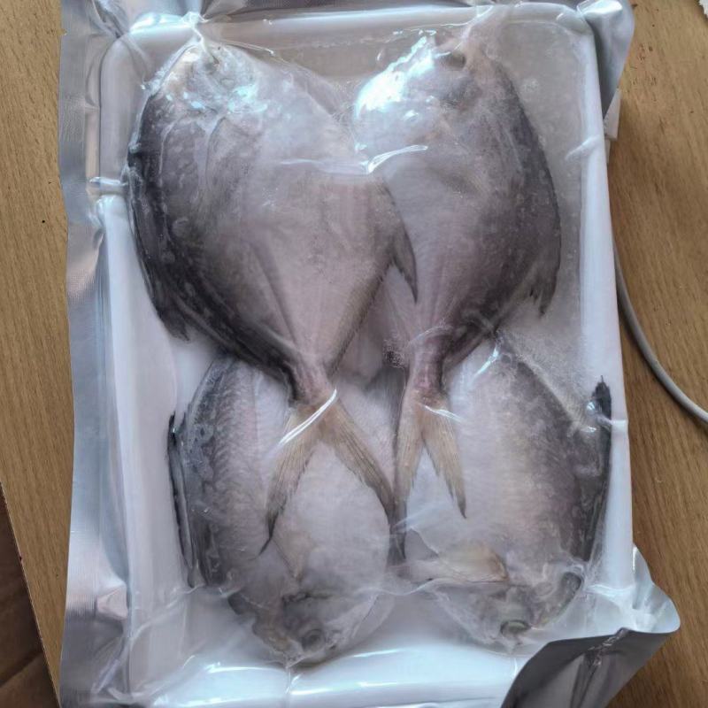 鲳鱼