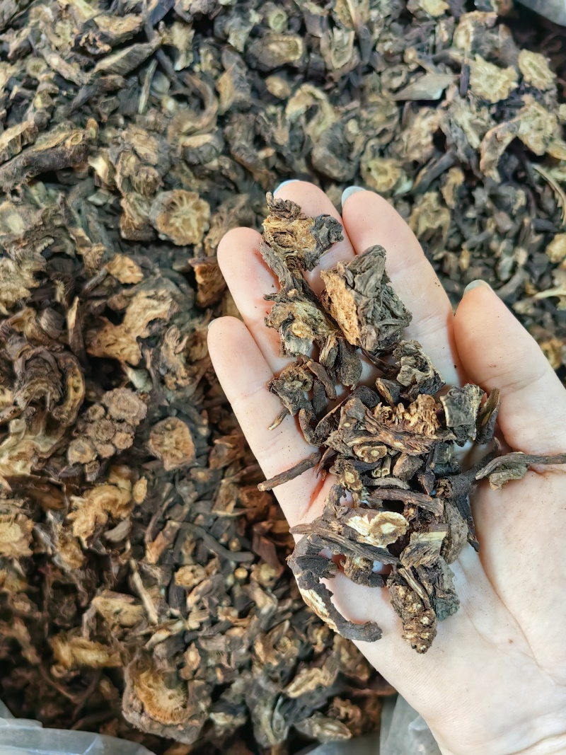 羌活批发羌活产地一手货源规格齐全量大价优