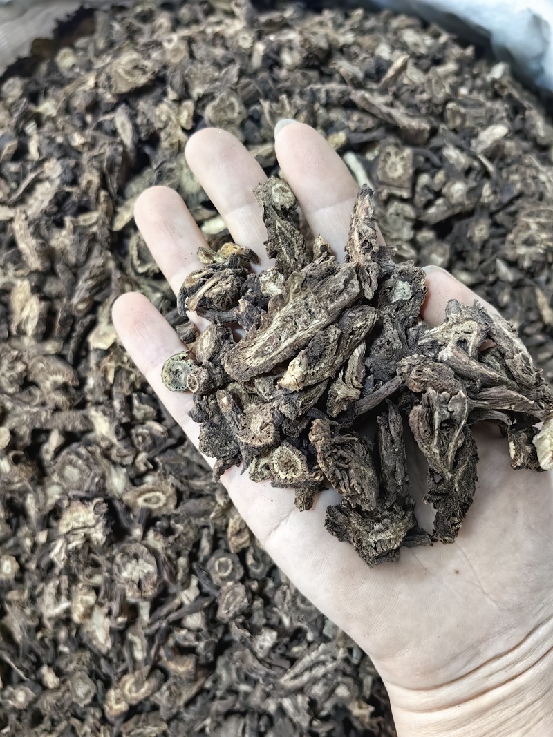 羌活批发羌活产地一手货源规格齐全量大价优