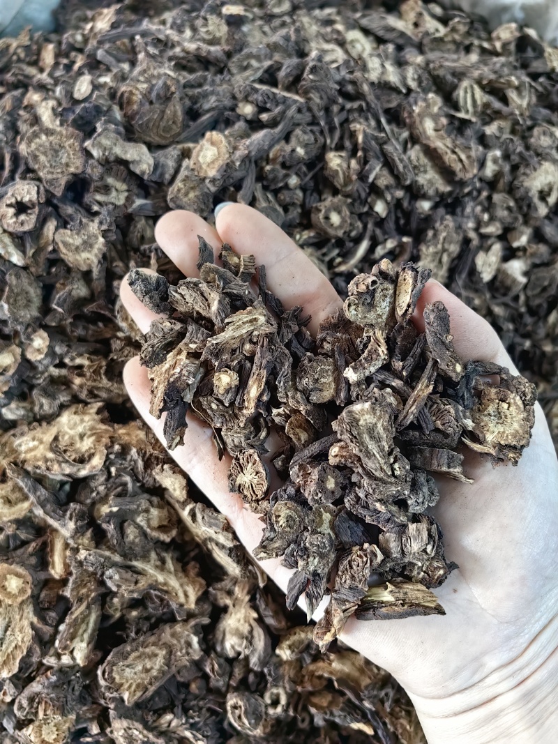 羌活批发羌活产地一手货源规格齐全量大价优