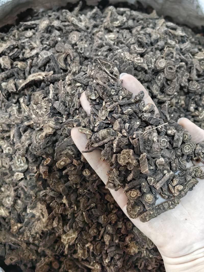 羌活批发羌活产地一手货源规格齐全量大价优