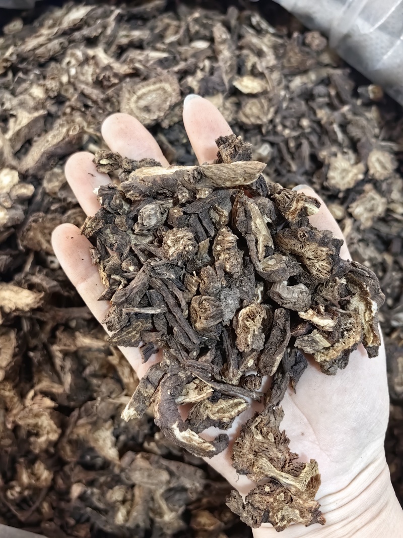 羌活批发羌活产地一手货源规格齐全量大价优