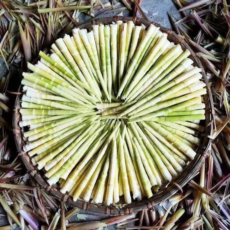野生小竹笋油竹笋水竹笋源头产地一手货源
