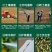 黄花苜蓿草木樨牧草种子野苜蓿籽铁扫把省头草香马料种籽