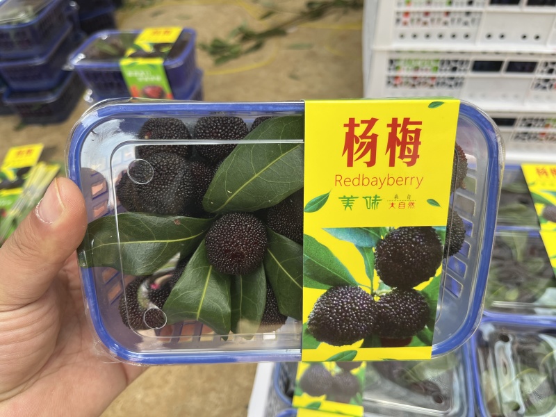 云南高山杨梅，产地首货，品质保证，诚信经营