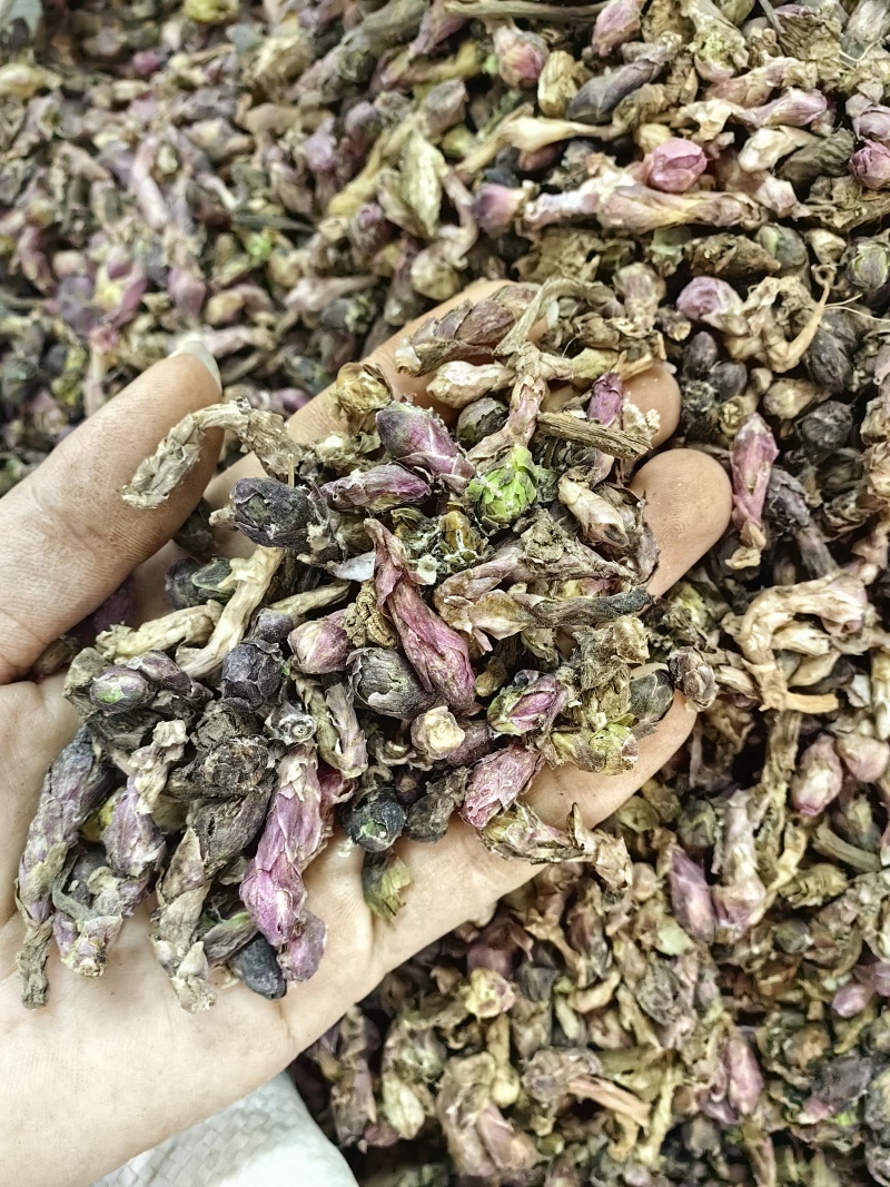 款冬花批发优质款冬花规格齐全产地一手货源量大价优