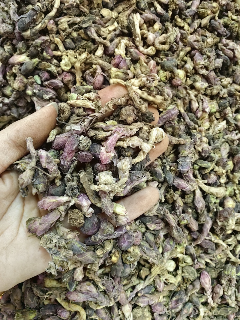 款冬花批发优质款冬花规格齐全产地一手货源量大价优