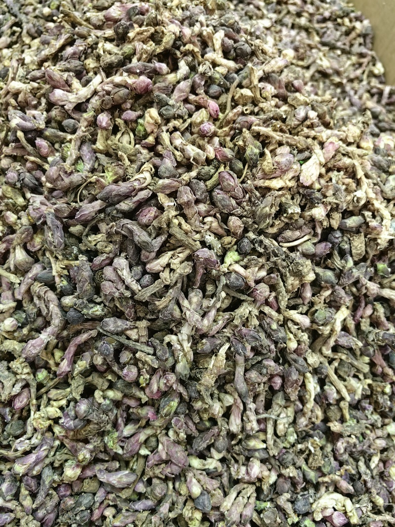 款冬花批发优质款冬花规格齐全产地一手货源量大价优