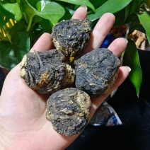 云南丽江黑玛卡