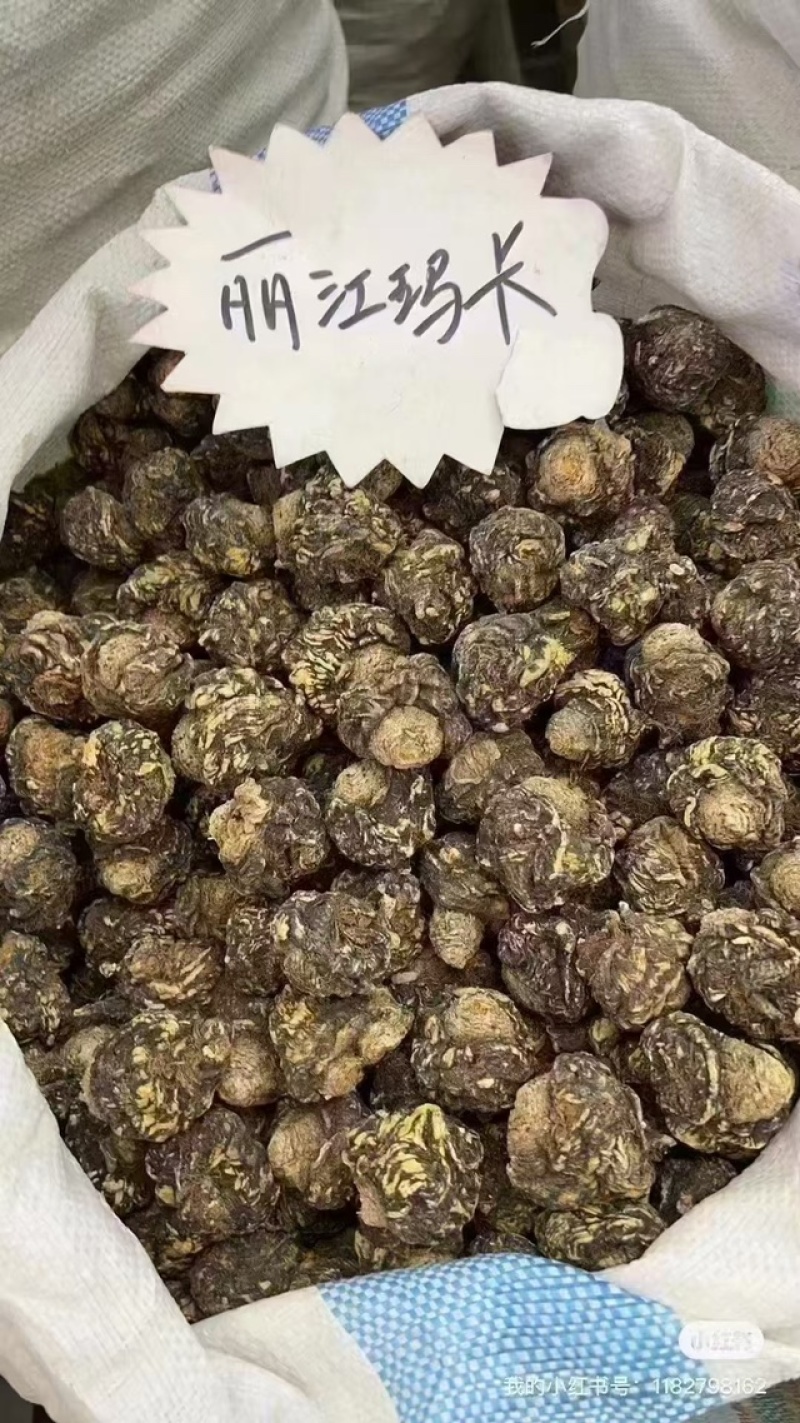 云南丽江黑玛卡
