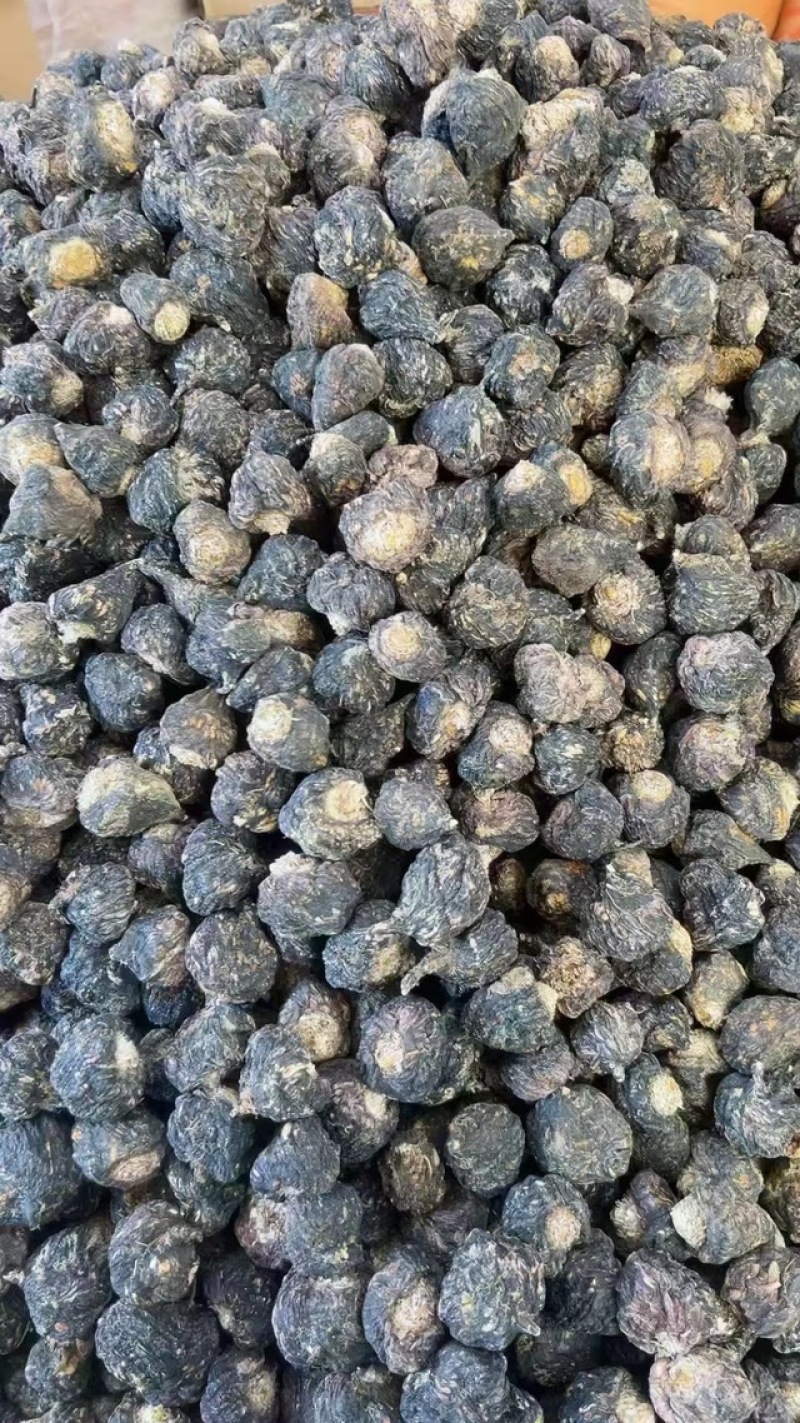 云南丽江黑玛卡