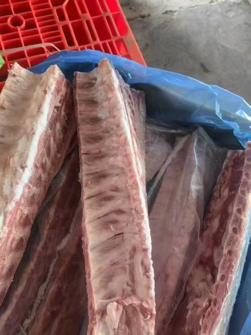 满肉猪龙骨