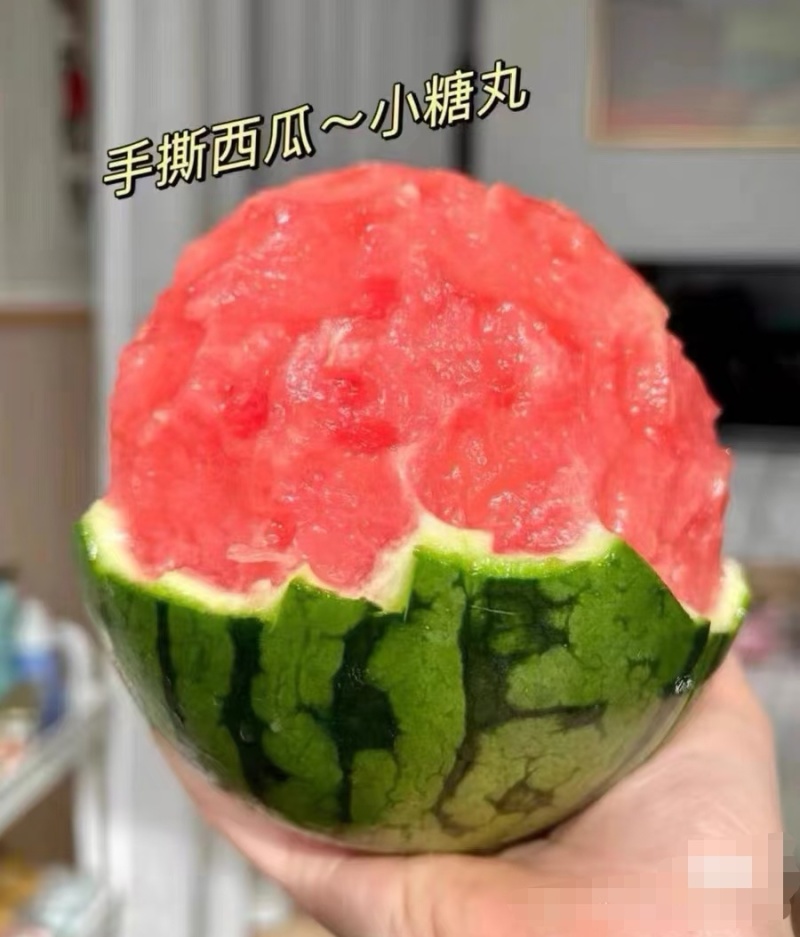 《现摘现发》938吊兰西瓜/小糖丸/吊西瓜/手撕小西瓜
