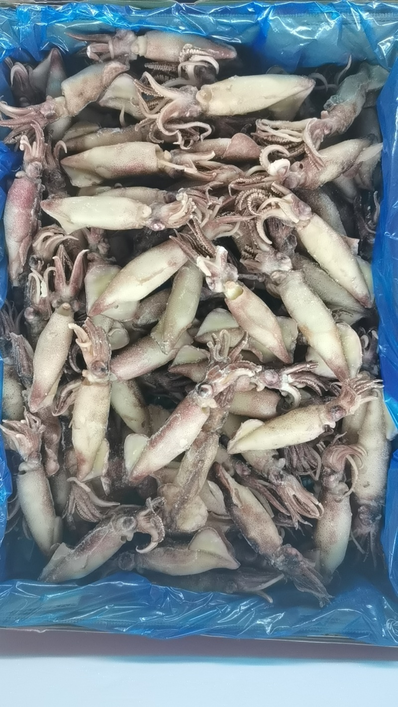 全籽籽乌