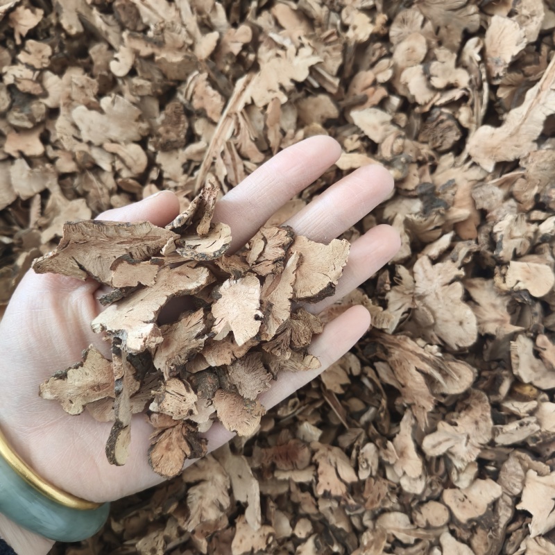 金荞麦祥泰药材栈中药材批发零售实物拍摄量多从优欢迎购买