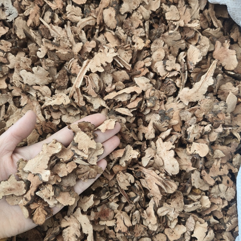 金荞麦祥泰药材栈中药材批发零售实物拍摄量多从优欢迎购买