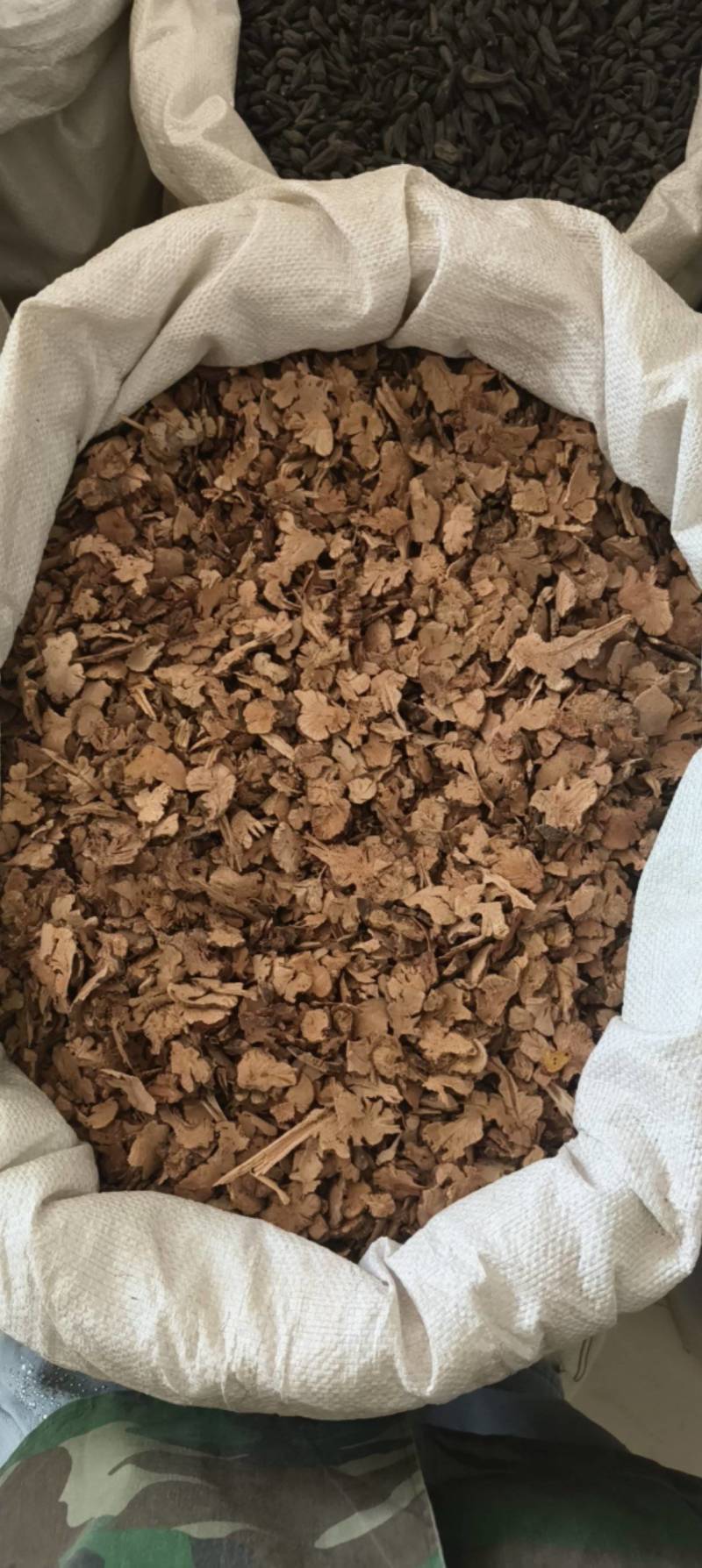 金荞麦祥泰药材栈中药材批发零售实物拍摄量多从优欢迎购买