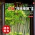 【超划算】精品庭院竹四季青竹金镶玉竹北方耐寒竹四季常青绿