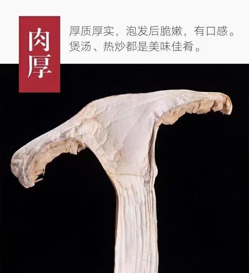 云南省陆丰市松茸干片全国直销。都是一手货源。价格很优惠哦