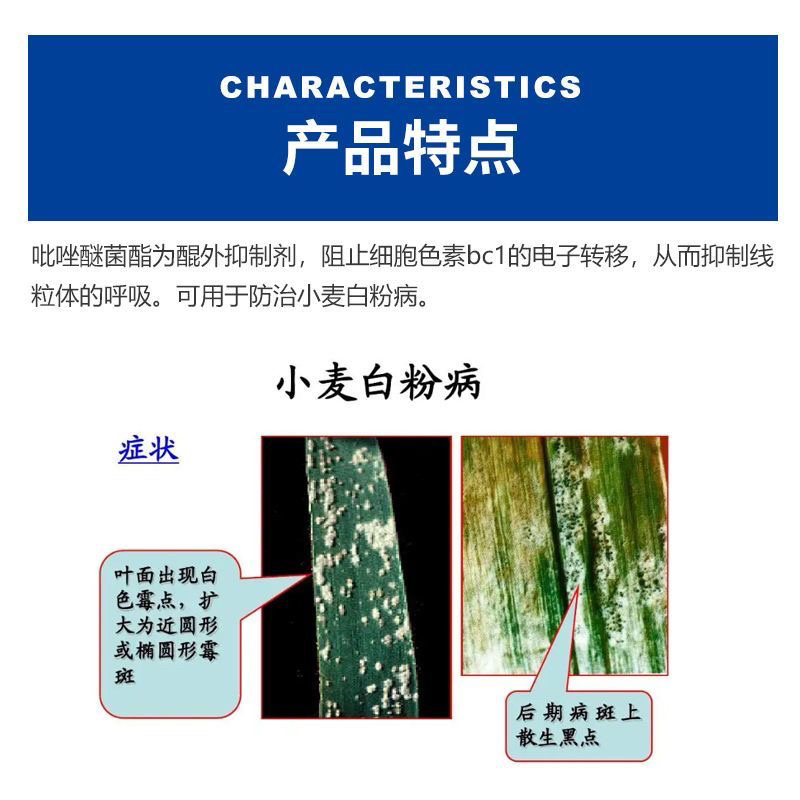 25%吡唑醚菌酯小麦白粉病农药杀菌剂