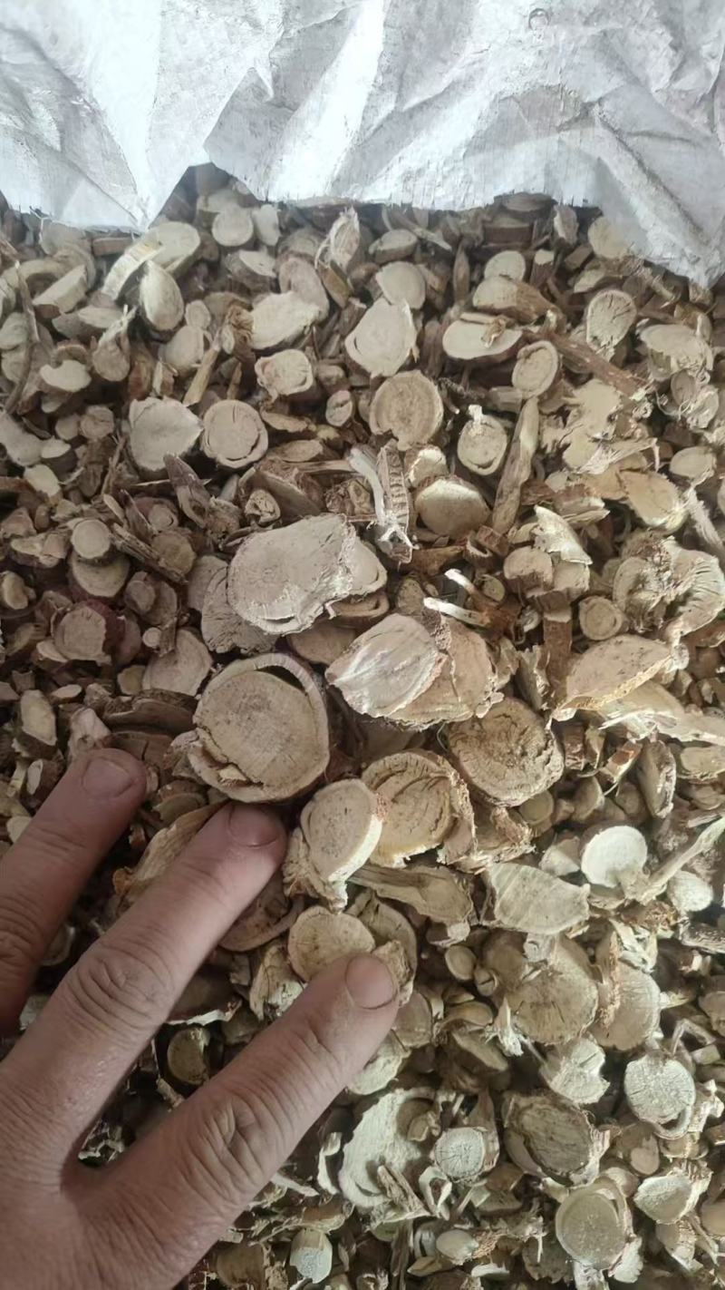 陕西商洛苦参片，大量上市，上等产品，欢迎全国采购商致电