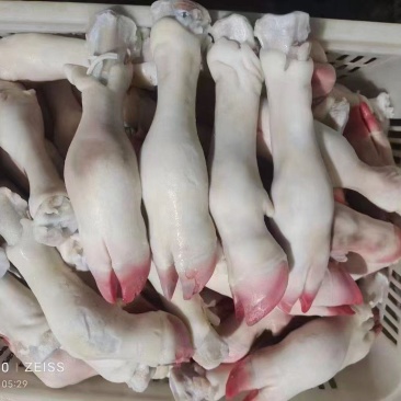 纯干不抽筋单个8两左右的小牛蹄，肉质鲜美，胶原蛋白丰富