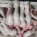 纯干不抽筋单个8两左右的小牛蹄，肉质鲜美，胶原蛋白丰富