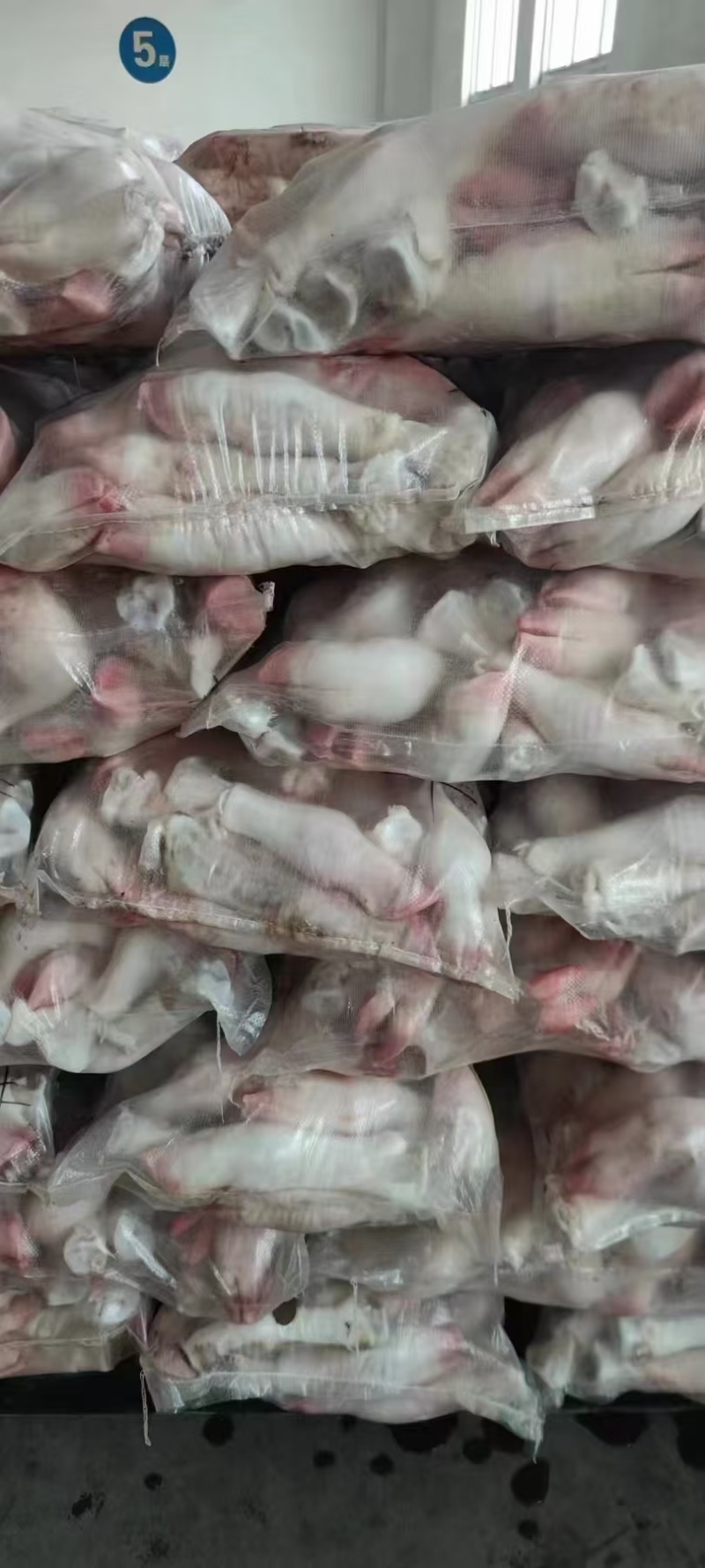 纯干不抽筋单个8两左右的小牛蹄，肉质鲜美，胶原蛋白丰富